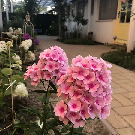 Pensiune Karolina Vendeghaz