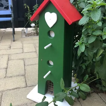 Karolina Vendeghaz 3* Szentes