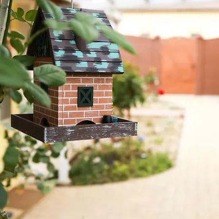 Karolina Vendeghaz Pensiune Szentes