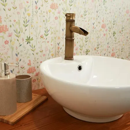 Karolina Vendeghaz Pensiune 3*