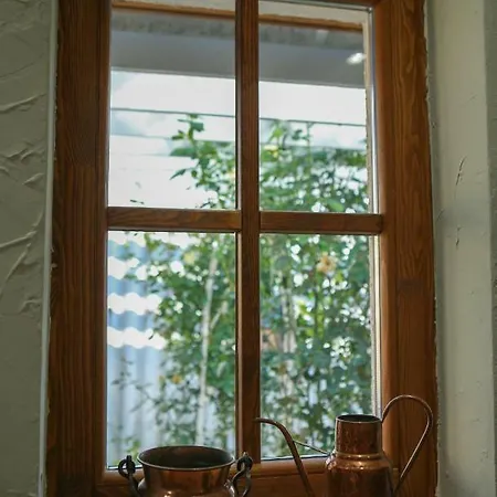 Karolina Vendeghaz Pensiune 3*